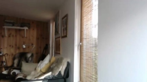 ocicat 28-07-2018  Recorded Cam