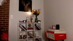 helloharley  01-08-2018 Recorded Toys