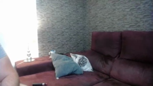 oraljessie 02-08-2018  Recorded Naked