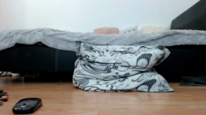 charlotte105  08-08-2018 Recorded Toys