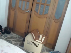 EMILI_CRUZ  24-08-2018 Recorded Webcam