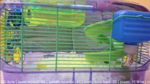songbirdbabe  28-08-2018 Recorded XXX