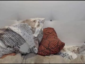 hotfallingdevil  08-10-2018 Recorded XXX