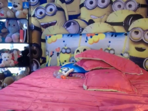 crazypilar  08-10-2018 Recorded Toys
