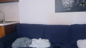 tim_eliot 11/10/2018 Chaturbate