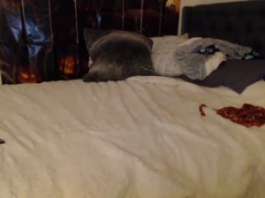 katarinapierce 13-10-2018 Webcam  Recorded Video