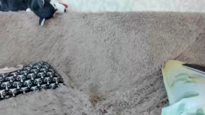 priscillamoon  15-10-2018 Recorded Topless