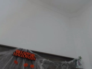 VIOLET_MART  18-10-2018 Recorded Webcam
