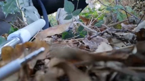 kristinafrench  19-10-2018 Recorded Download