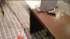 sexy_lady_dunker 23-10-2018 Video  Recorded Toys