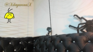 dayaanna 25-10-2018 Webcam  Recorded Nude