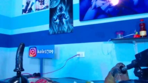 karlakole 31-10-2018 Topless  Recorded Show