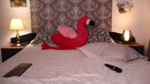 nikkimagic 23-12-2018 Show  Recorded Toys