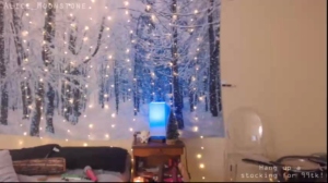 alice_moonstone 24-12-2018 Cam  Recorded Video