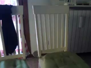 kjbxxx 26-12-2018 recorded  Recorded Topless