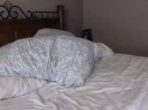 zeana34g 26-12-2018 Naked  Recorded Show