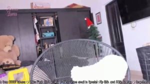 becca_luna 02-01-2019 Nude  Recorded Cam