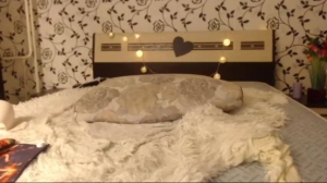 katyxxxlove 09-01-2019 Naked  Recorded Download