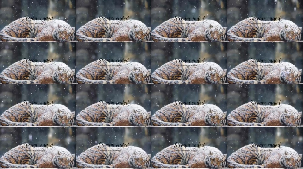 lidakoteikina 23-01-2019 recorded  Recorded Free