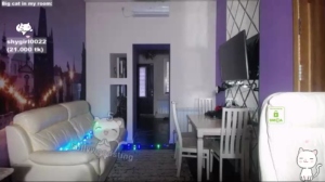 oooops__ 25-01-2019 Cam  Recorded Toys