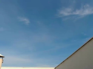 eveangelll 13-03-2019 XXX  Recorded Video