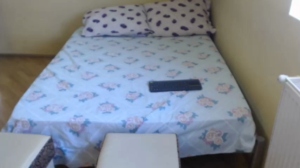 lions1133  13-03-2019 Recorded Porn