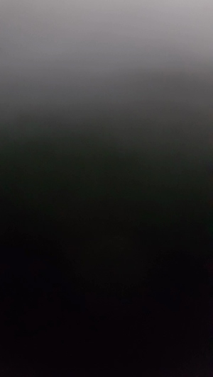 mario84luci 21-03-2019 