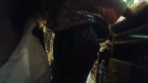 machobearhot 31-03-2019  Recorded Video XXX