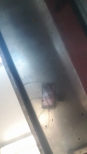 mario84luci 07-04-2019  Recorded Video XXX
