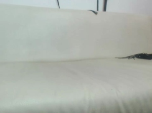 andresxdirty 13-04-2019  Recorded Video Naked