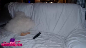 3zcompany 16-04-2019 Video  Recorded Webcam