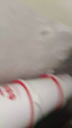 mario84luci 16-04-2019  Recorded Video Cam