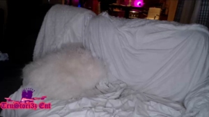 3zcompany 17-04-2019 Video  Recorded Cam