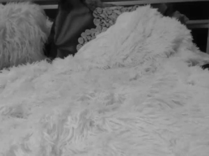 0ilaiza  20-04-2019 Recorded Cam