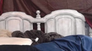 dakota_lynn  24-04-2019 Recorded Download
