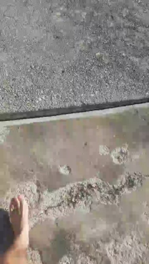 stipe 27-04-2019  Recorded Video Download