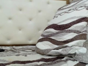 bigkock21cm 28-04-2019  Recorded Video Toys