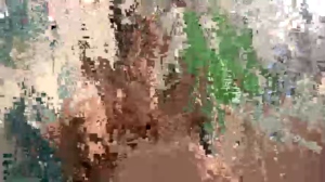collegecoupleamateurs  30-04-2019 Recorded Porn