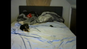 babyybutt  30-04-2019 Recorded Cam