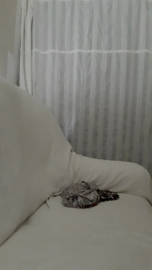 hotolgaxxx  03-05-2019 Recorded Toys