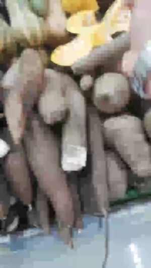 monster_men 04-05-2019  Recorded Video Webcam