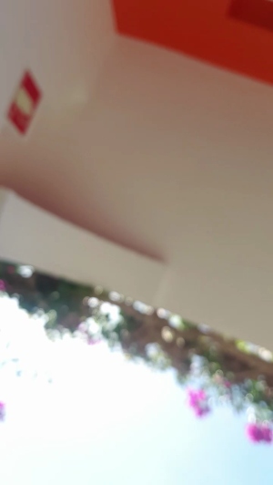 mario84luci 05-05-2019  Recorded Video Cam