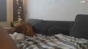 mikeynl2019 07-05-2019  Recorded Video Nude