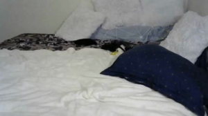 sweetpassion1  07-05-2019 Recorded Webcam