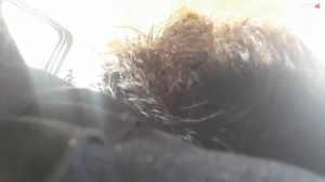 2lovexxx 09-05-2019  Recorded Video Free