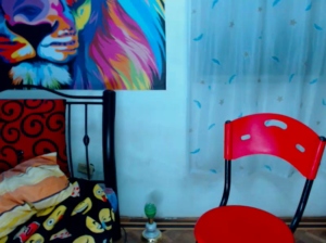 paulstiven 11-05-2019  Recorded Video XXX