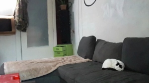 mikeynl2019 11-05-2019  Recorded Video Cam