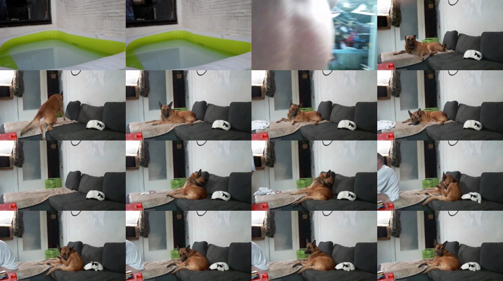 mikeynl2019 11-05-2019  Recorded Video Cam