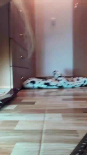 babyhotforu  14-05-2019 Recorded XXX