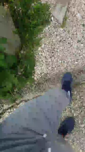stipe 15-05-2019  Recorded Video Show